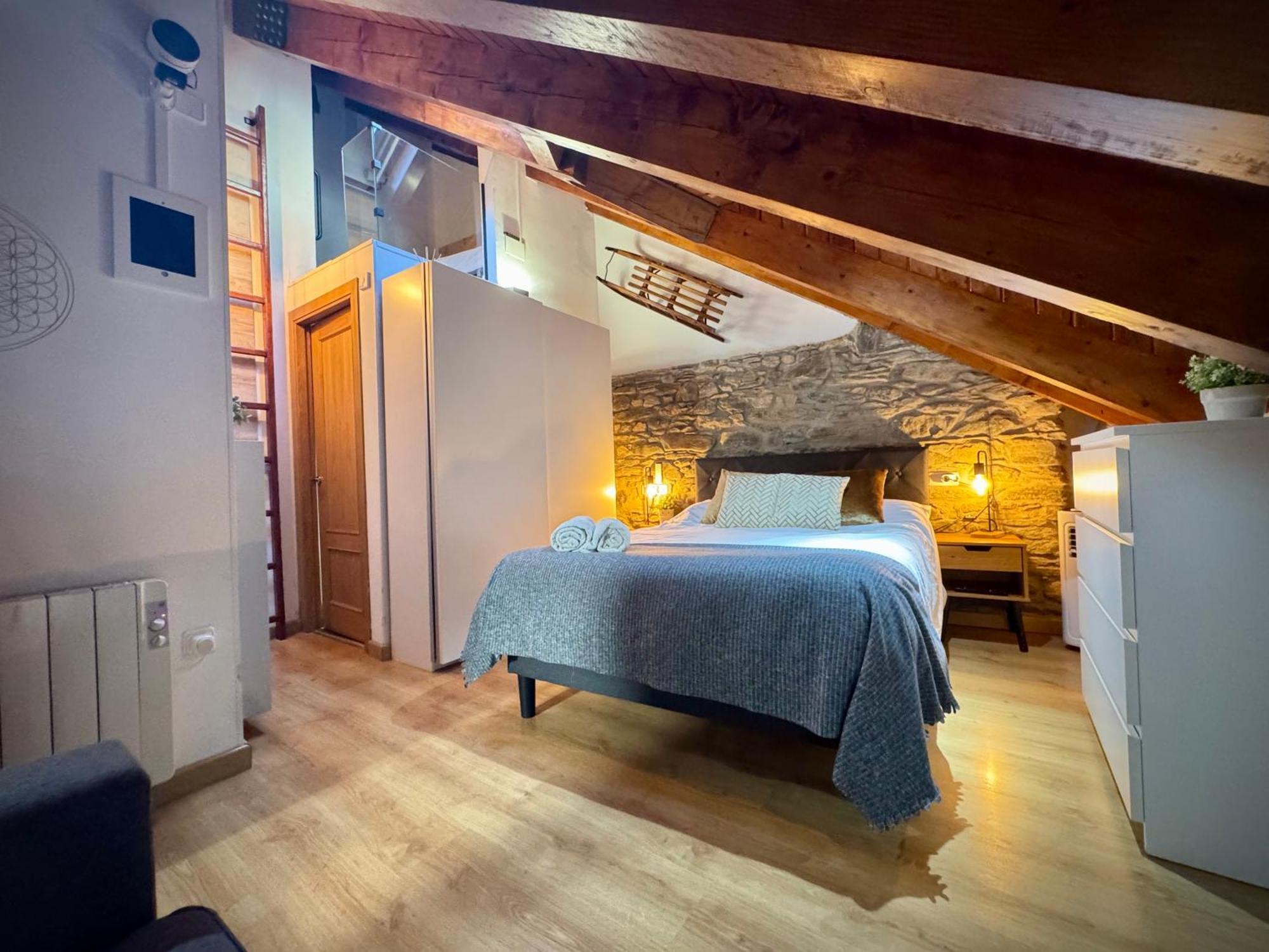CAL DOMÈNEC - Dúplex lujo en Rialp  Exterior foto